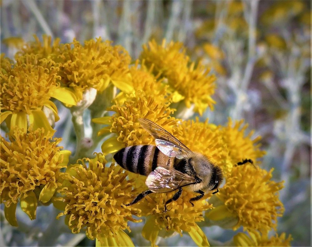 Photograph by Effie Zacharia