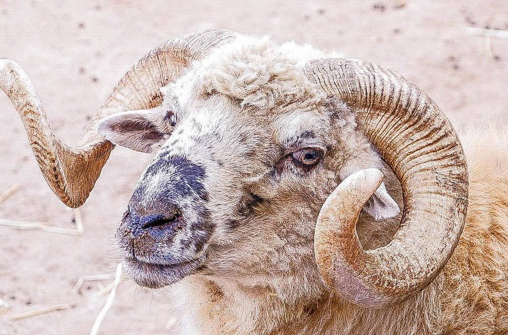 Философский взгляд на мир.