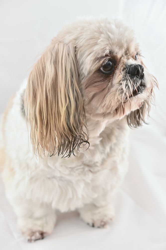 Фотография автора Justyna Jeżak