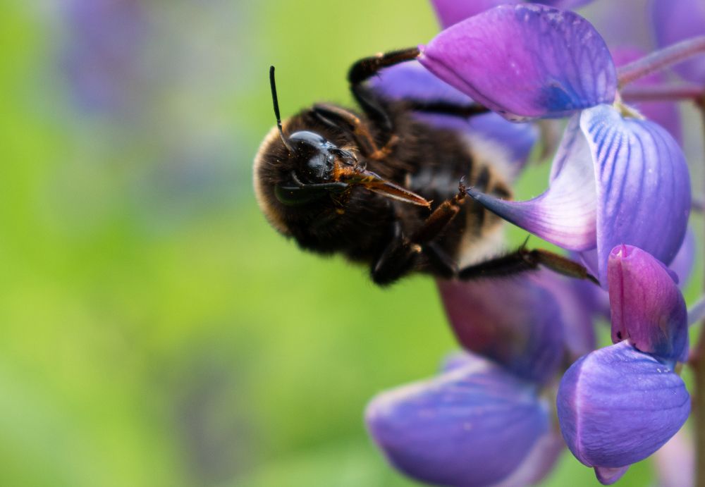 Photograph by Сергей Долгий