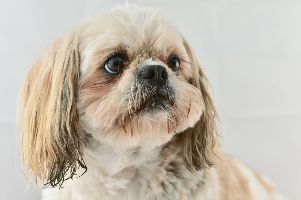 Фотография автора Justyna Jeżak