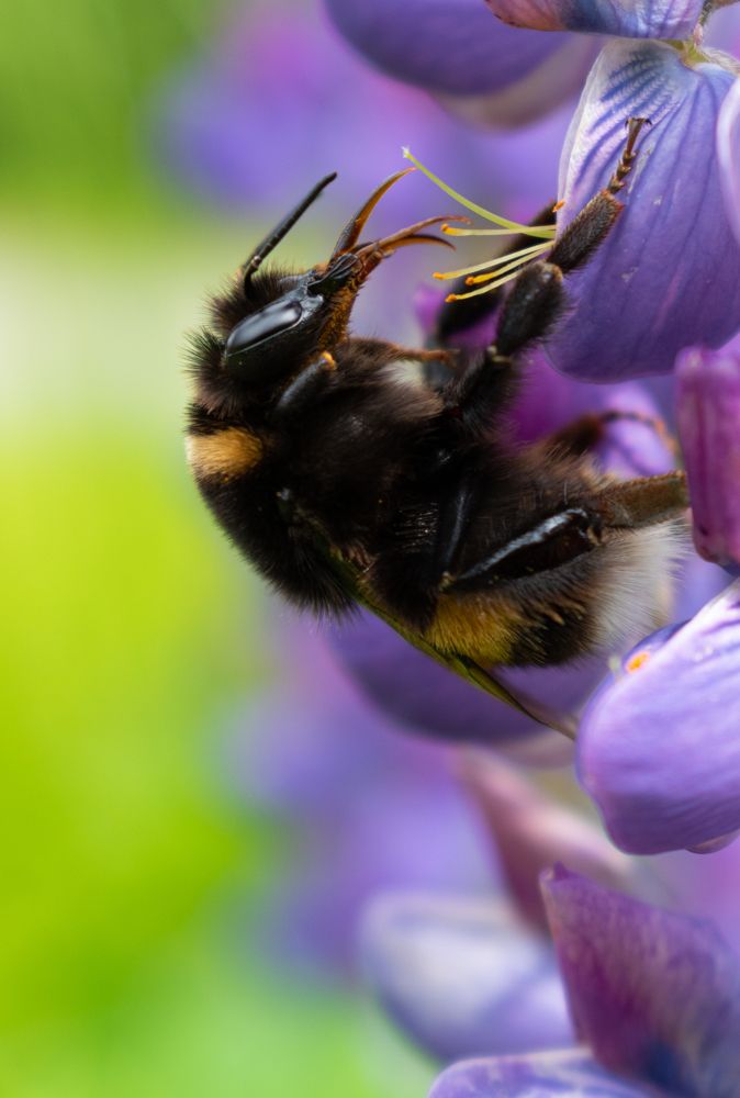 Photograph by Сергей Долгий