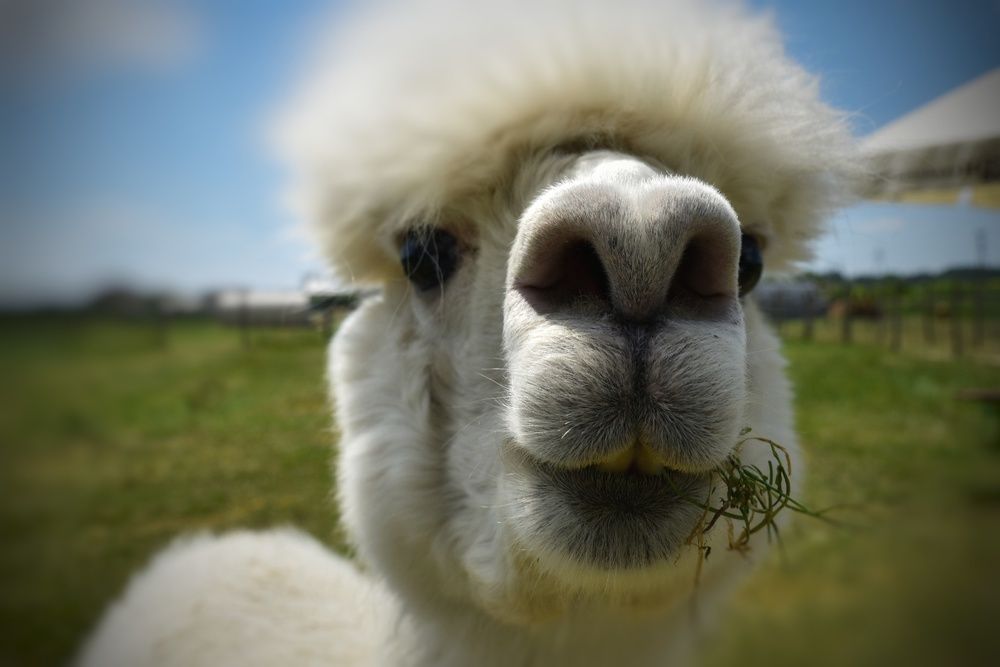 Фотография автора Justyna Jeżak