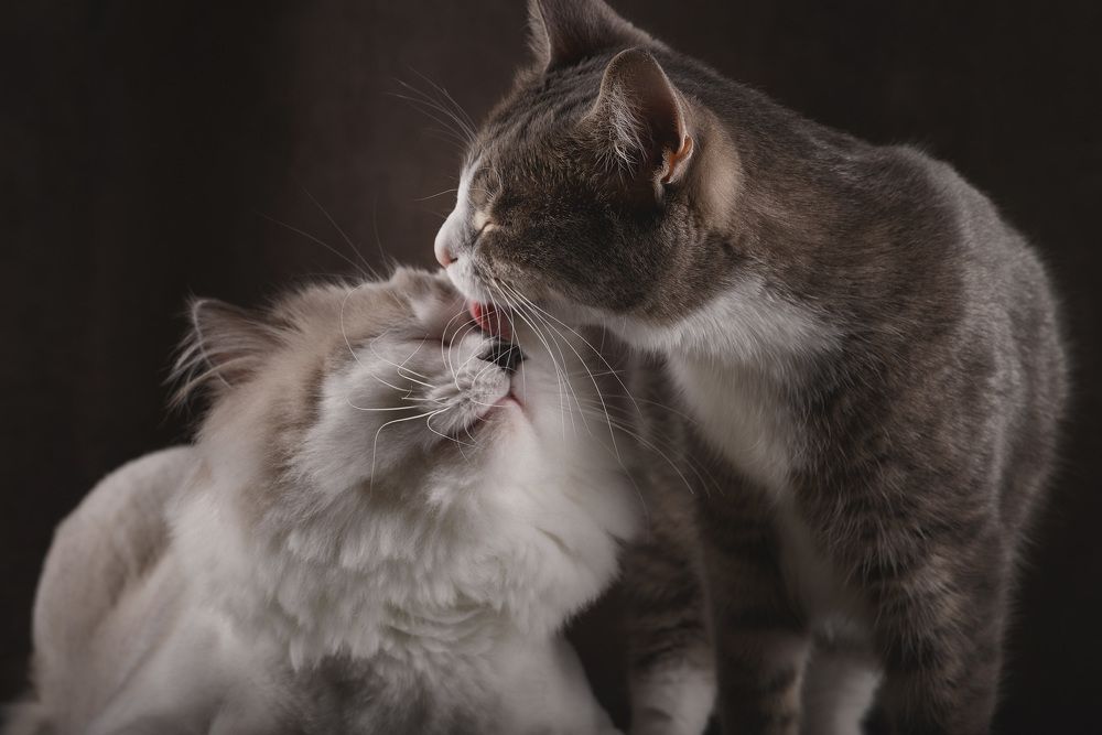 Photograph by Алексей и Юлия Дарьины