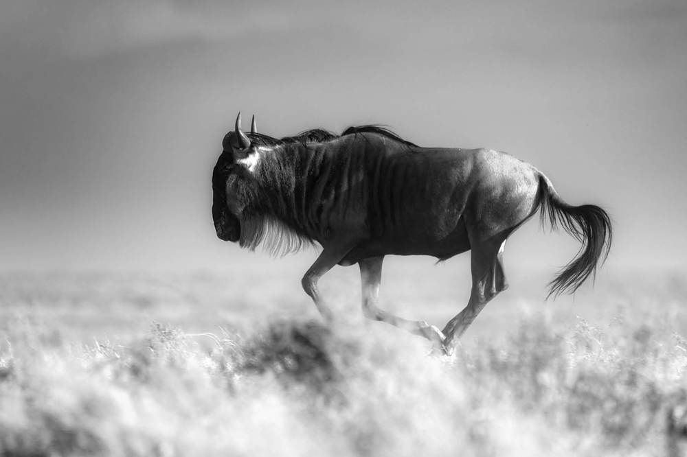 Photograph by dekel abu