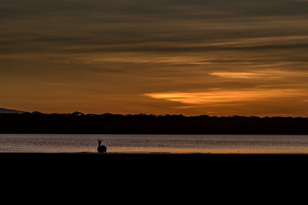 Photograph by dekel abu