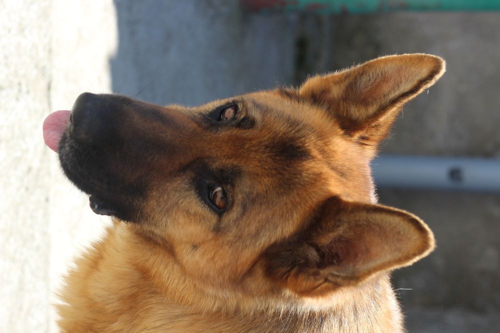 Photograph by Татка Эмигра