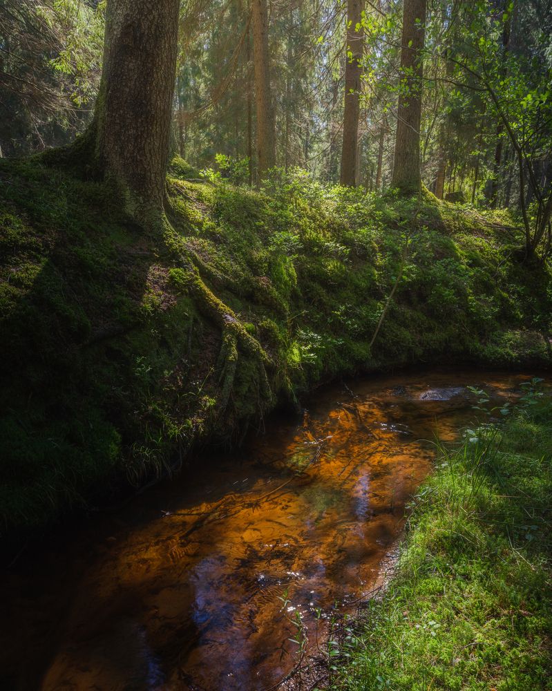 Photograph by Евгений Волосков