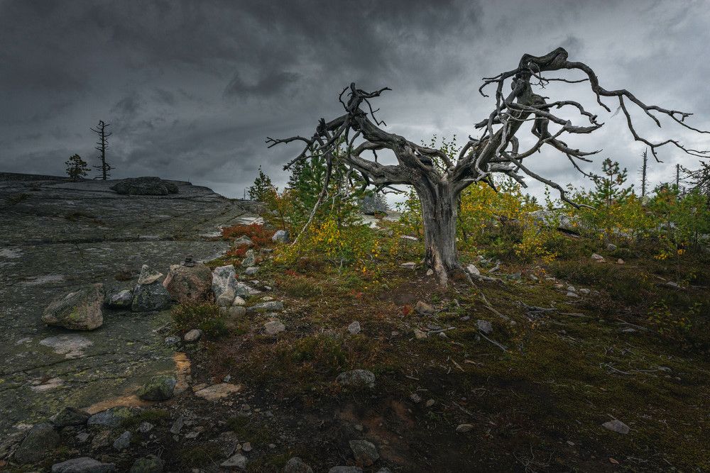 Vottovaara - Oblivion of the Gods.