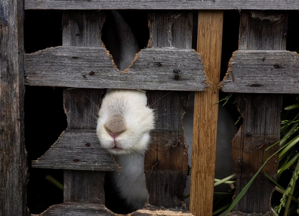 Photograph by Алина Акишина