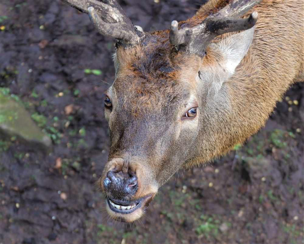 Photograph by Dmitriy Marchenko