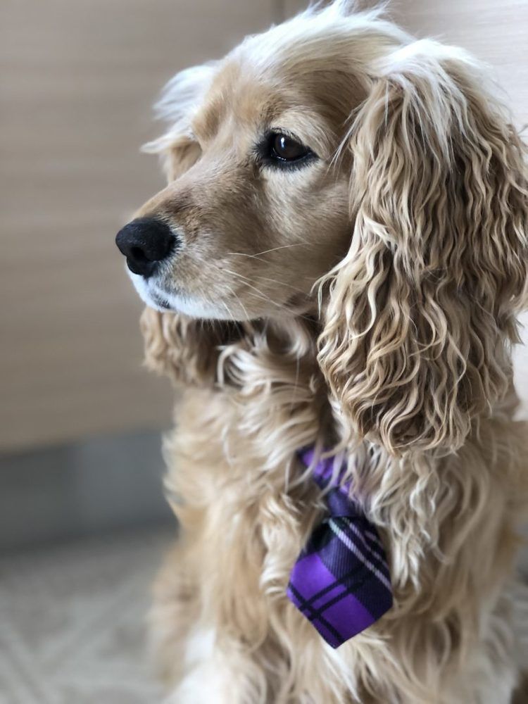 Photograph by İbrahim Bilen