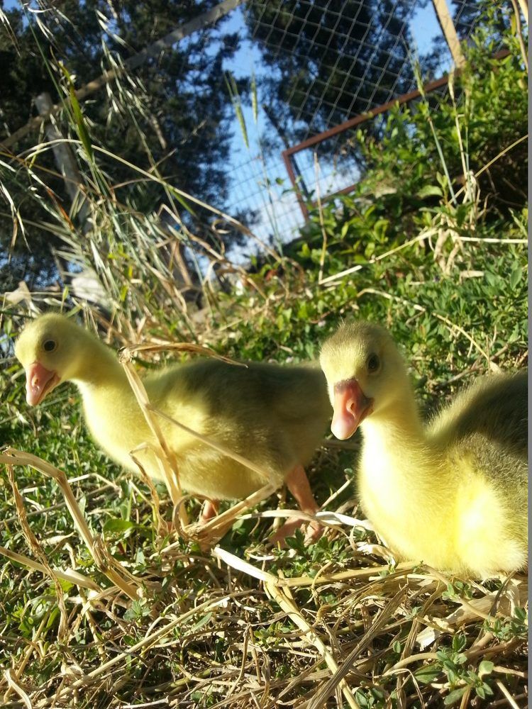 Photograph by İbrahim Bilen