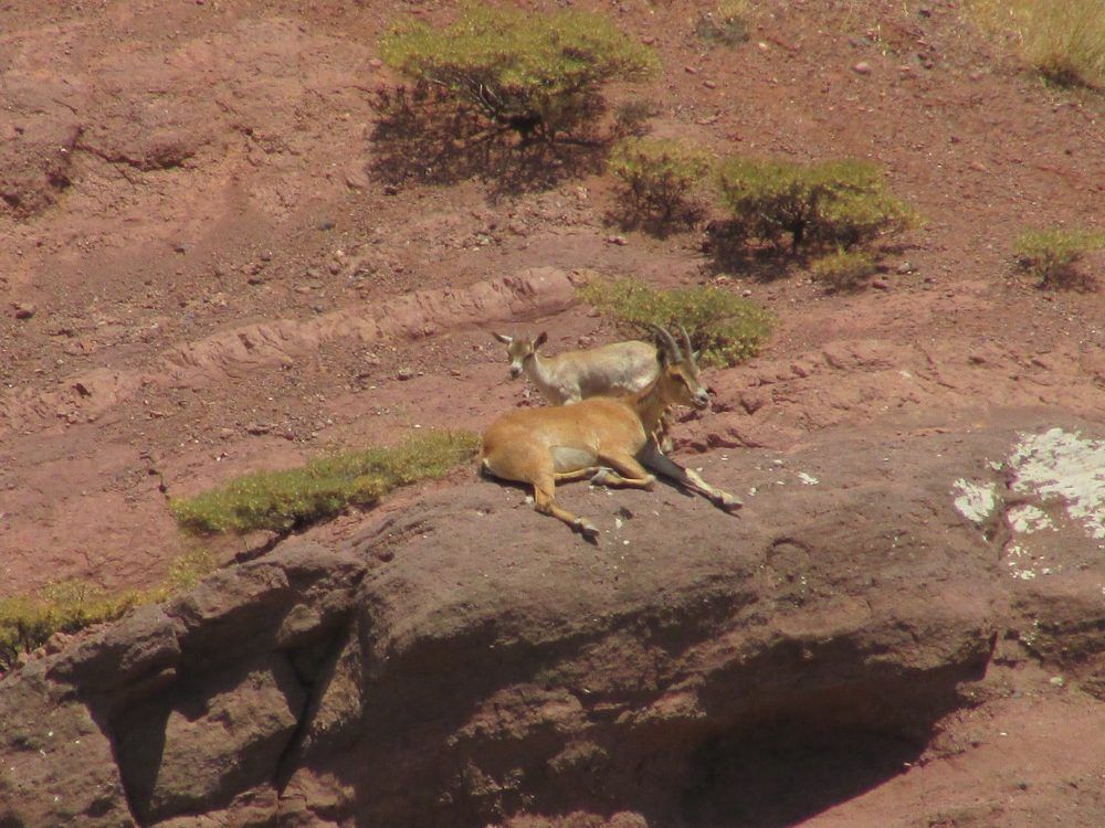 Photograph by İbrahim Bilen