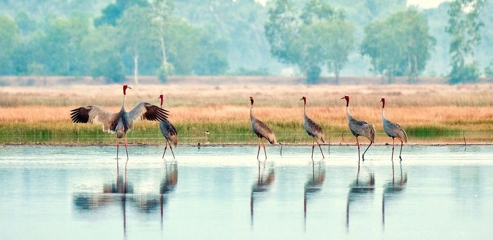 Фотография автора Tuan Nguyen