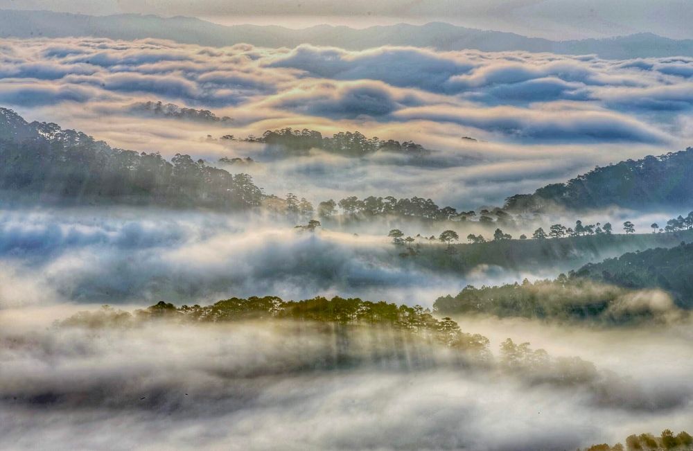 Фотография автора Tuan Nguyen