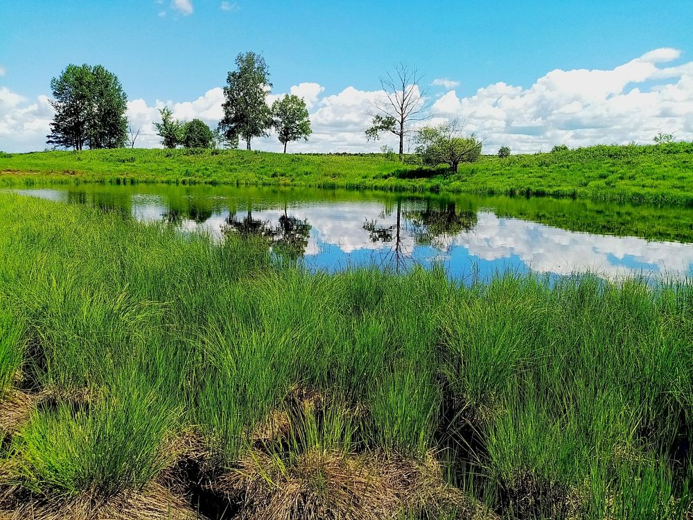 Photograph by Александра