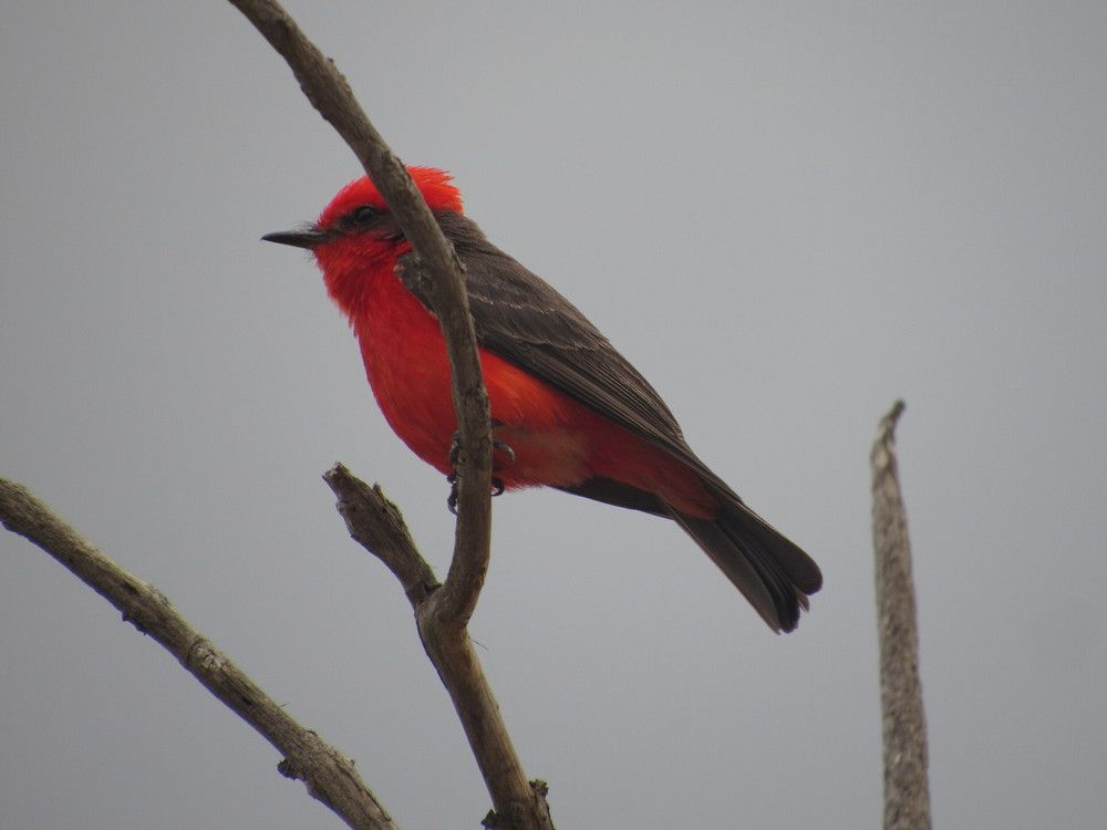 Photograph by Jesús Jiménez