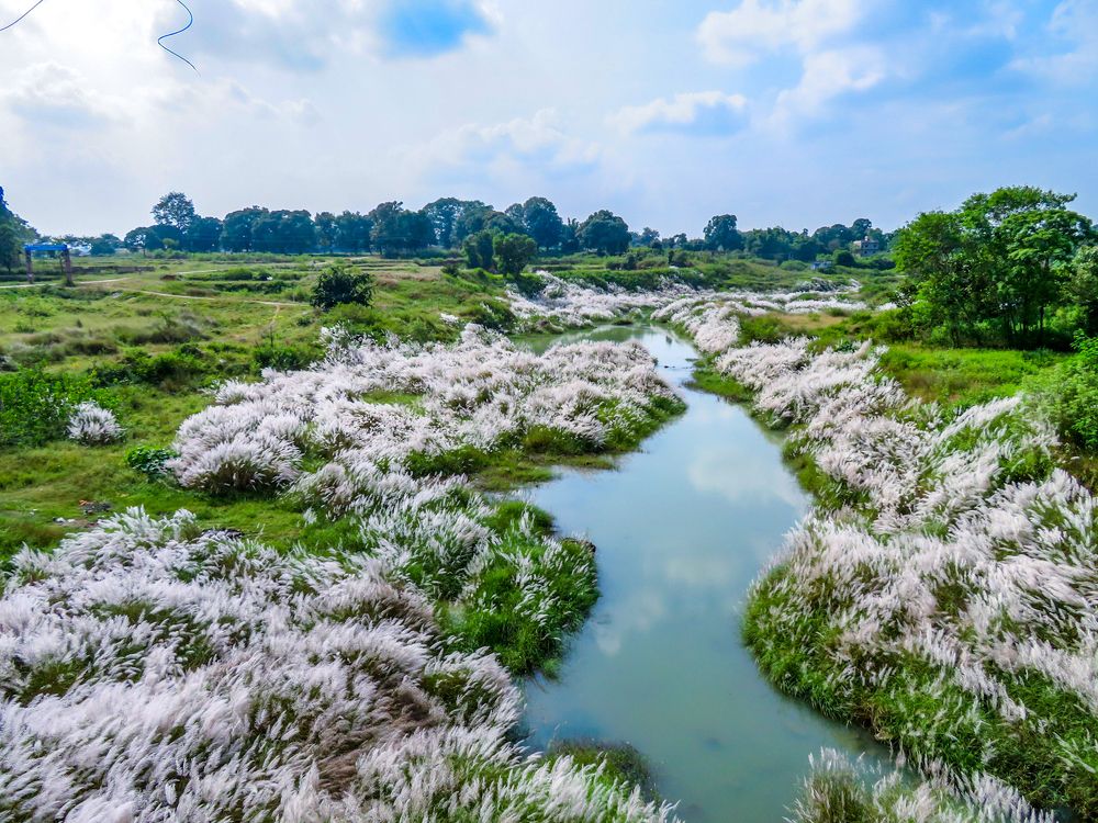 Photograph by Susmita Paul