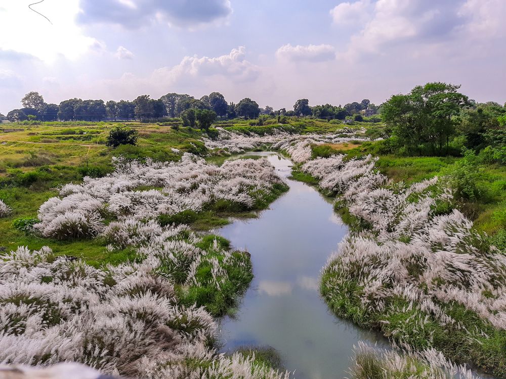 Photograph by Susmita Paul