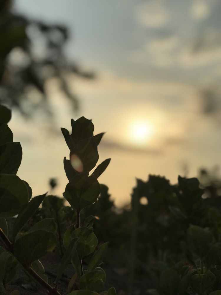 Sunset and Me