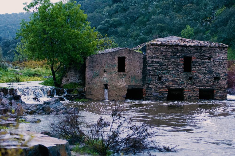 Photograph by Ernestas Balcikonis