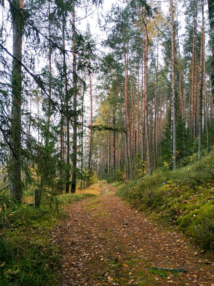 Photograph by Анастасия Кулешевич