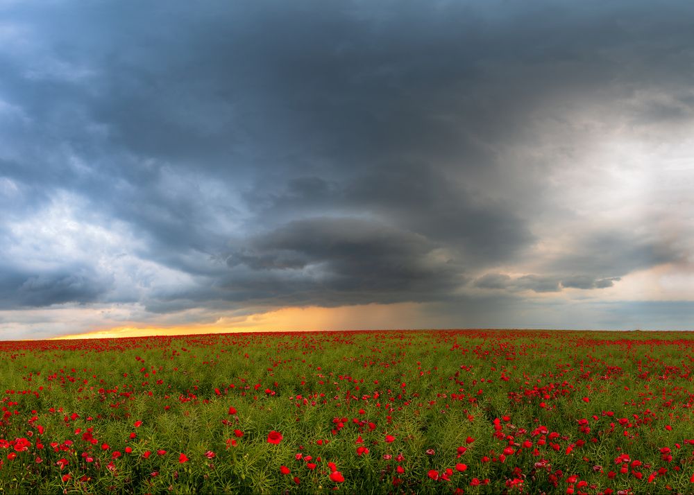 Photograph by Ivo Gerasimov