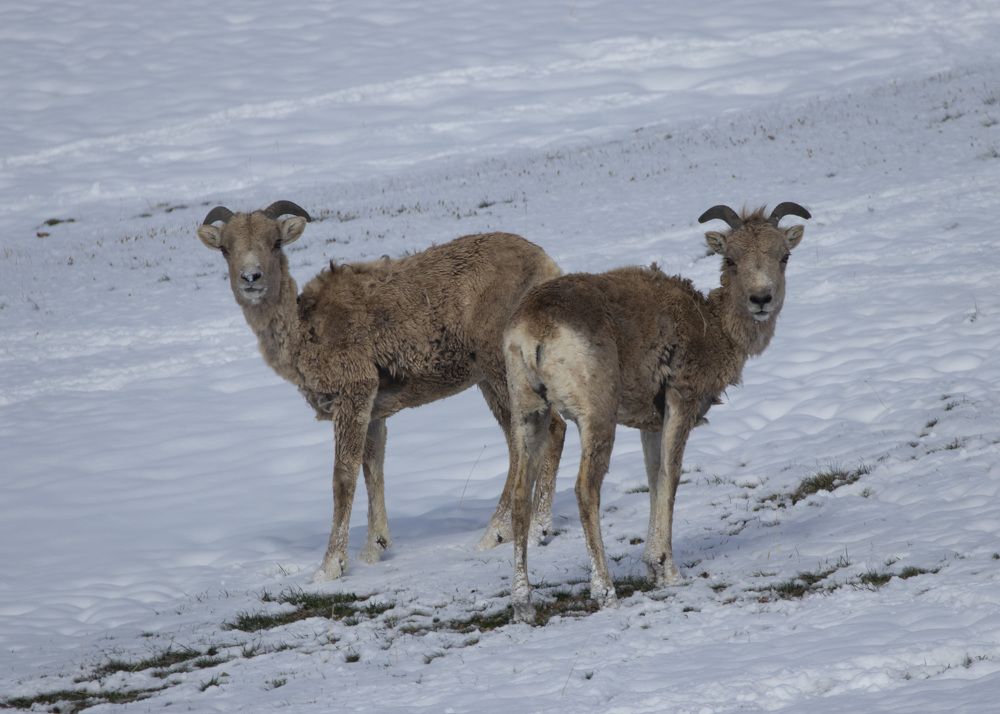 Photograph by Жбир Денис