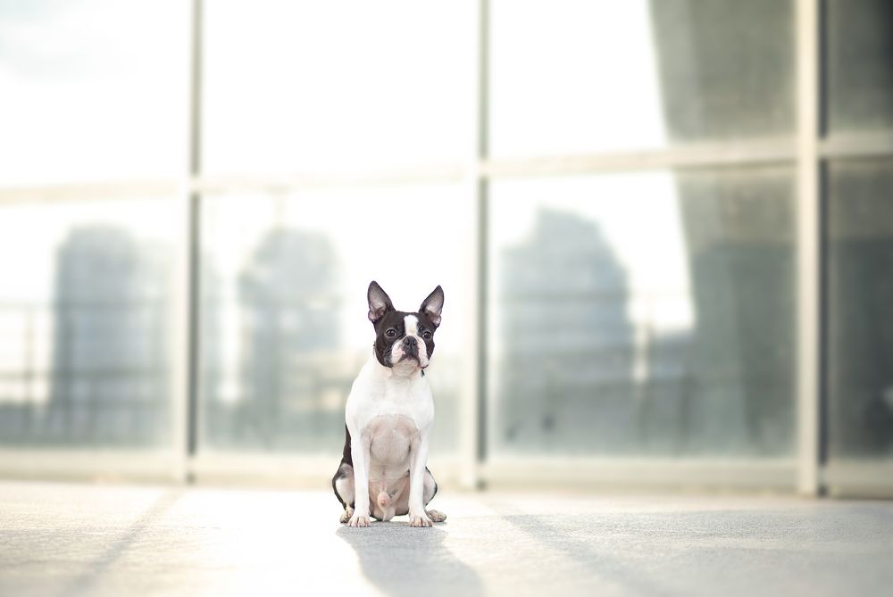 Photograph by Svetlana