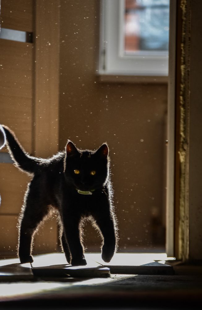 Photograph by Елена Плотникова