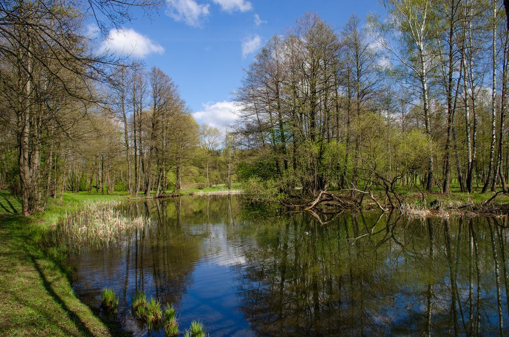 Photograph by Михаил