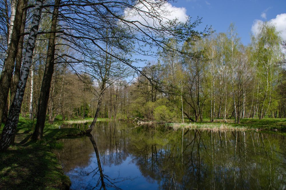 Photograph by Михаил