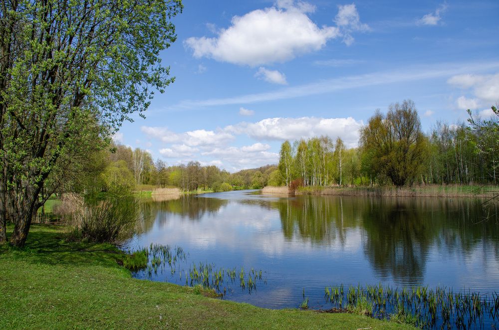 Photograph by Михаил