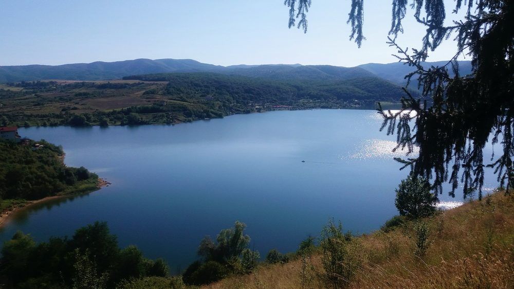 Photo #6183021