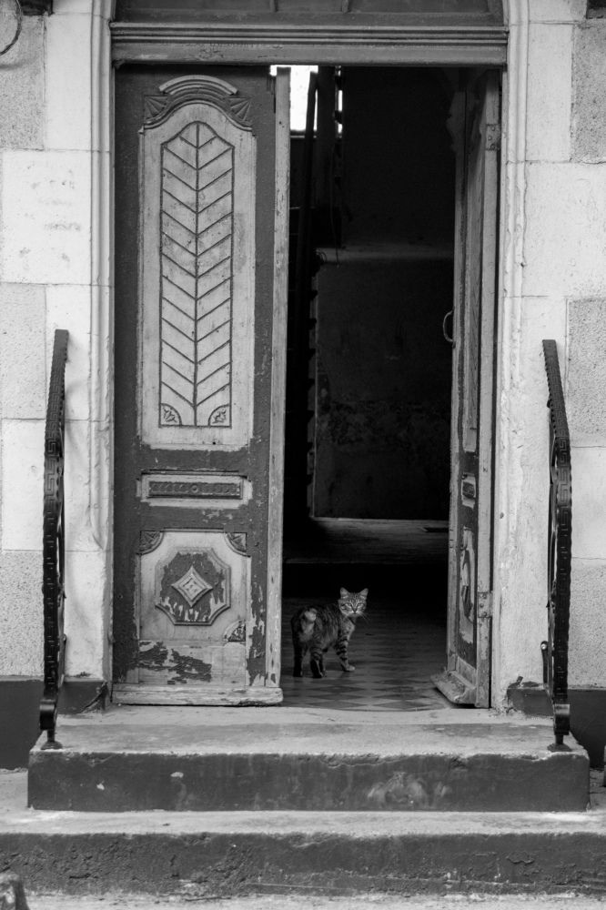 Photograph by Светлана Лебедева