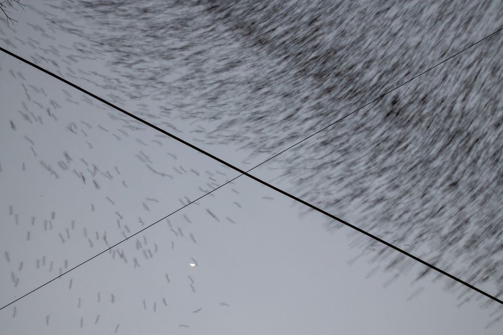 Photograph by Siddharth Rathod