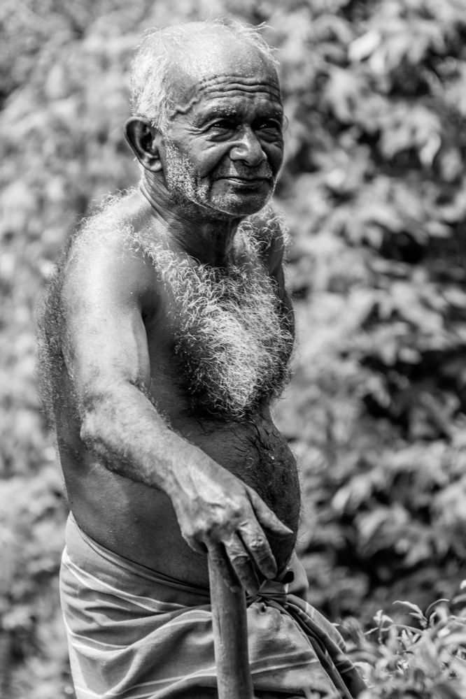 Photograph by Lithira Amarapala