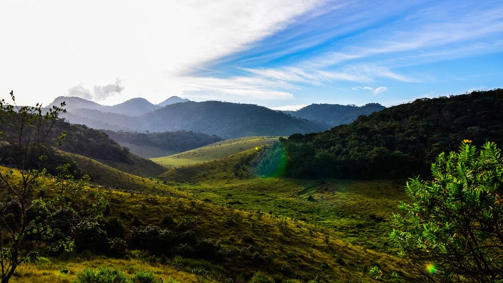 Photograph by Lithira Amarapala