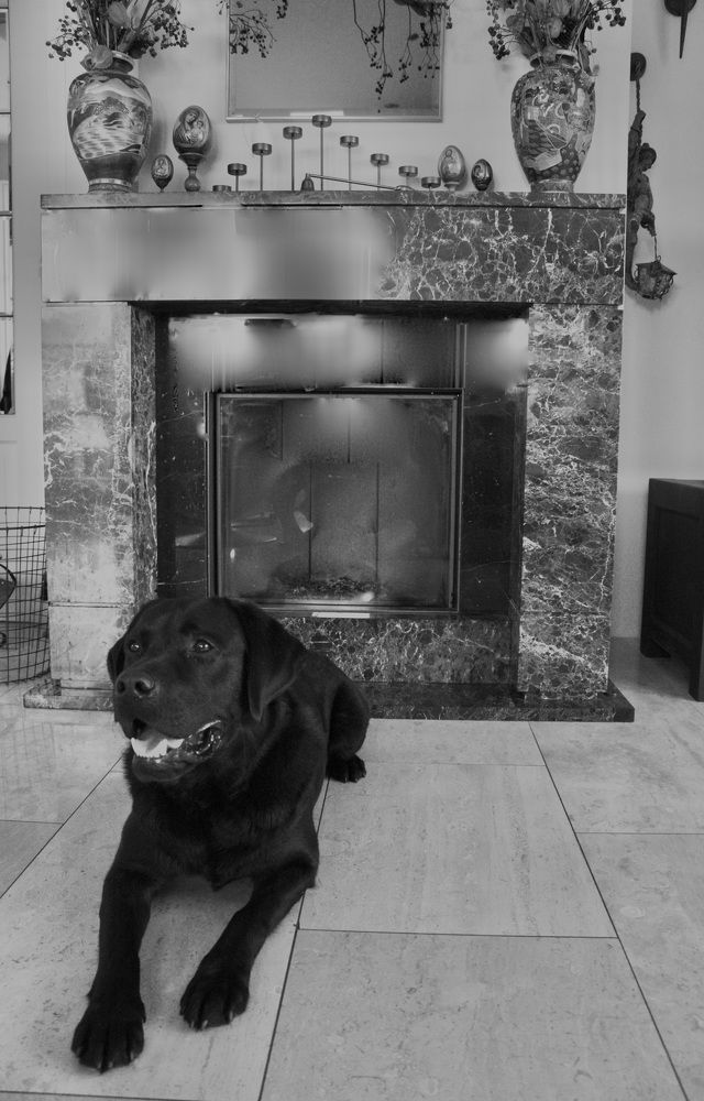 Photograph by Svetlana Kornilova