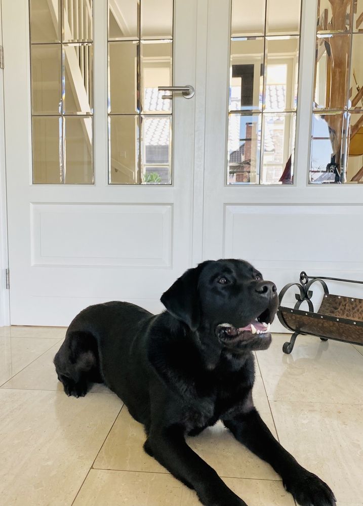 Photograph by Svetlana Kornilova