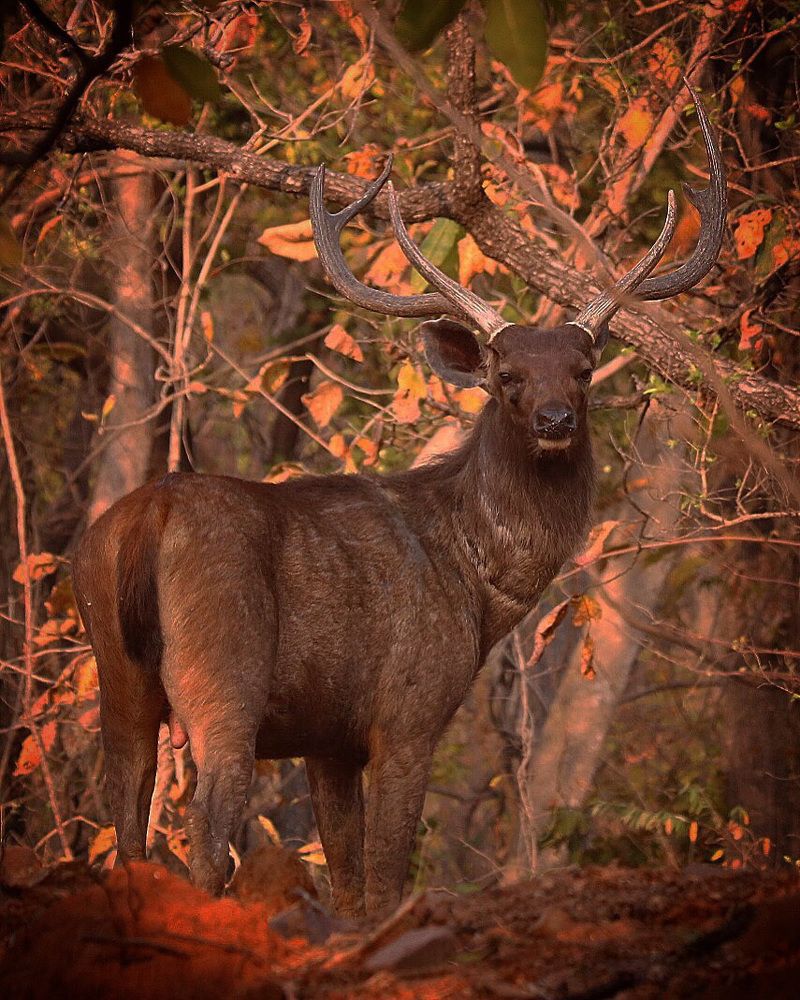 Photograph by USAIDUDDIN QUAZI