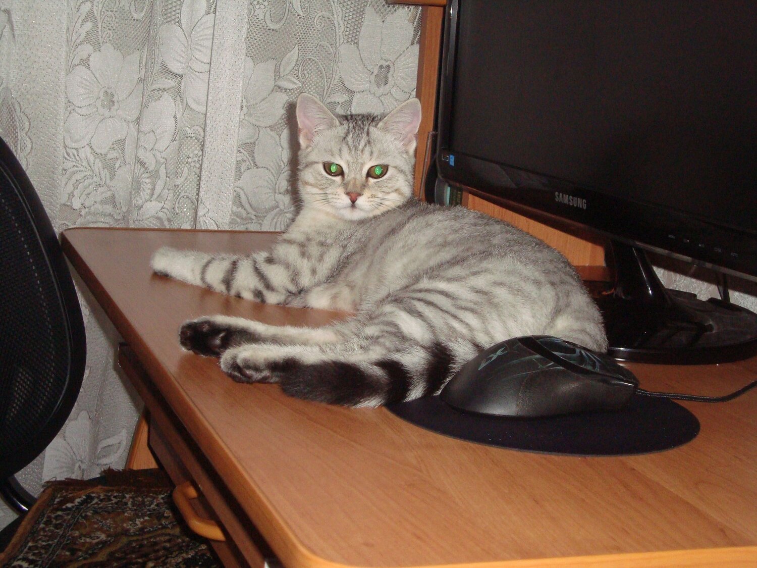 Photo #6183124