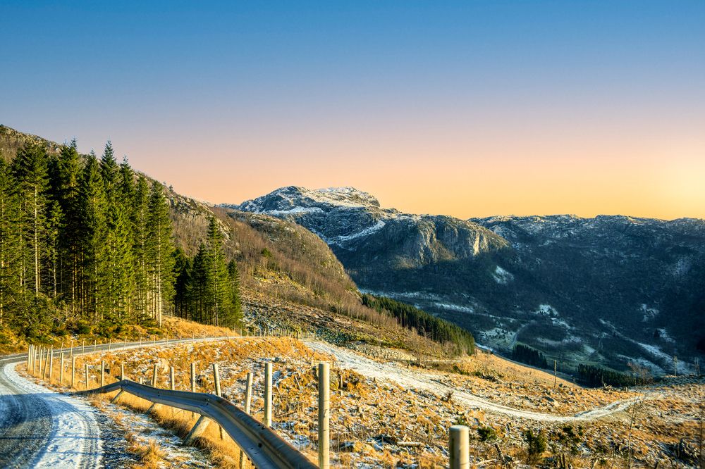 Photograph by Gary McGillivray-Birnie