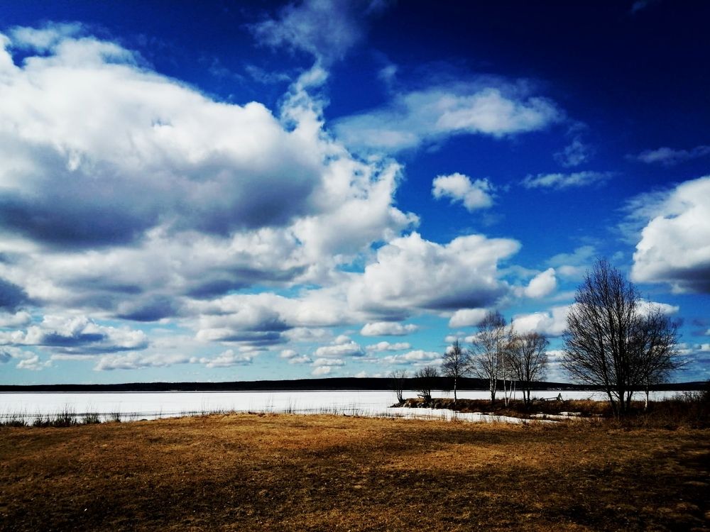 Photograph by Melton