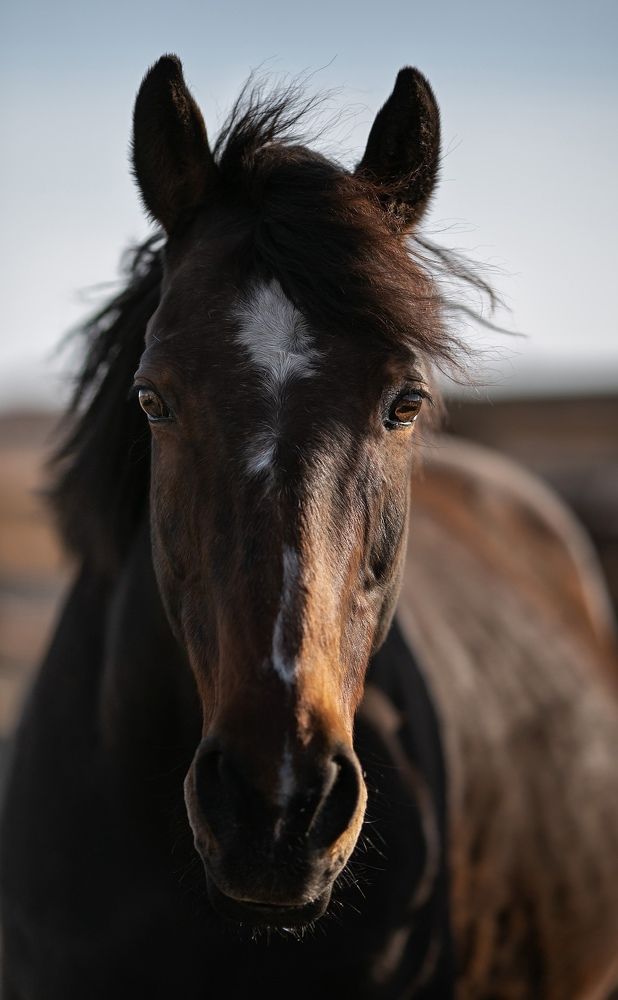 Photograph by Елена Алешечкина
