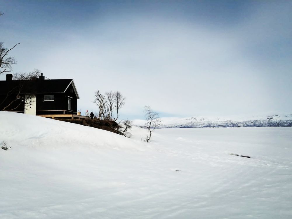 Photograph by Melton