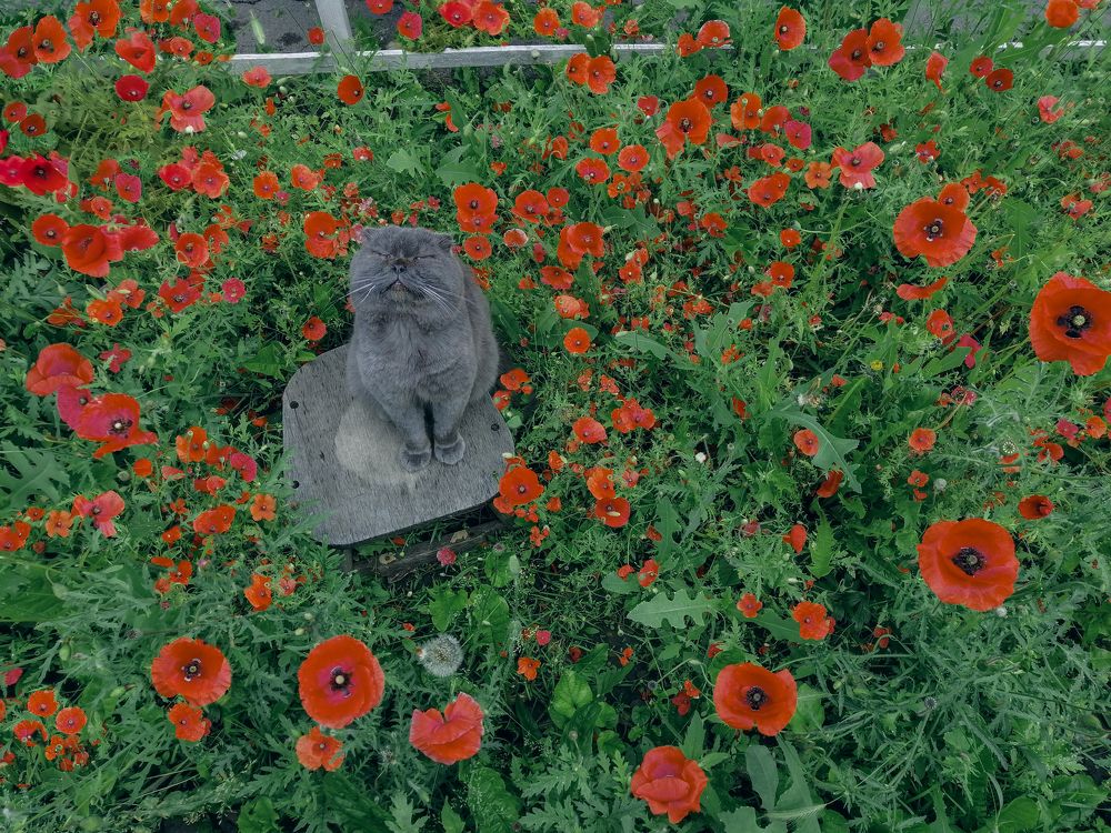 Photograph by Марина Згоник