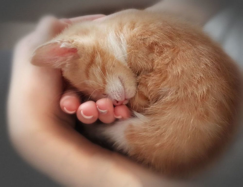 Photograph by Галина Хвостенко