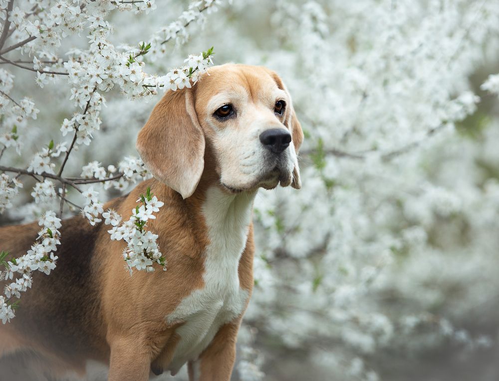 Photograph by Katerina Mumzhinskaya